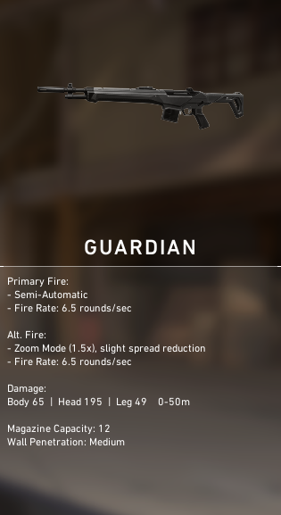  Valorant Guardian Rifle 