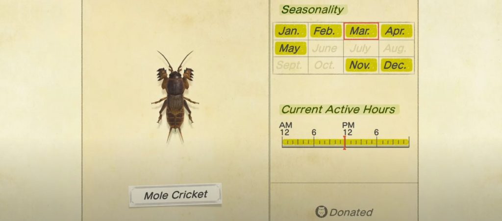 Mole Cricket Seasonality