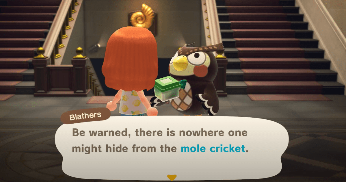 How to Catch a Mole Cricket in Animal Crossing New Horizons