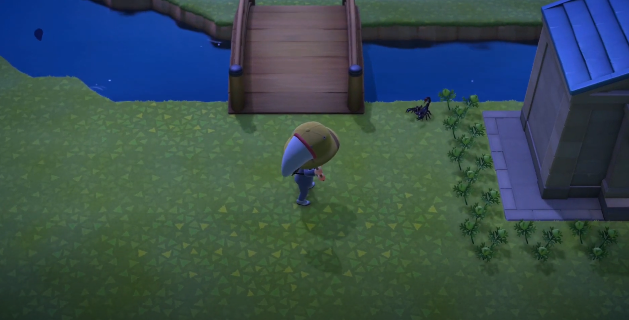 How to Catch a Scorpion in Animal Crossing New Horizons