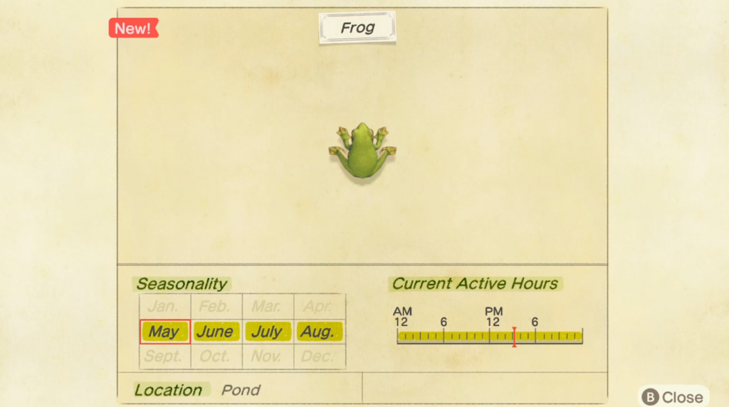 How to catch a Frog in Animal Crossing New Horizons