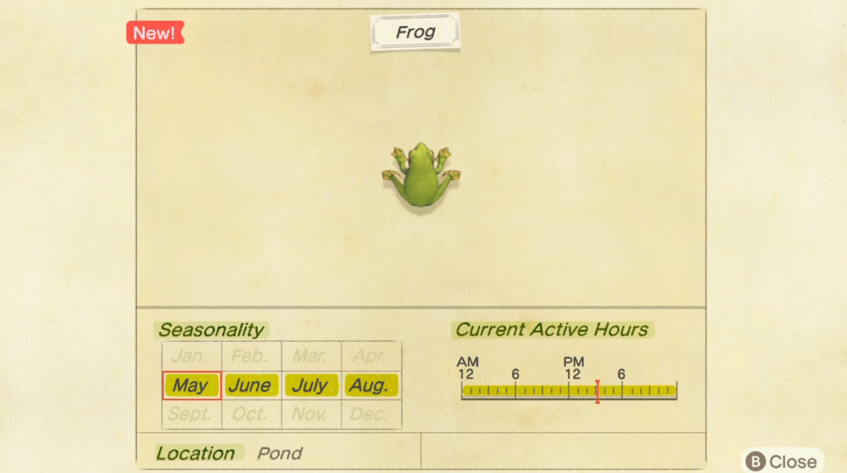 How to catch a Frog in Animal Crossing New Horizons