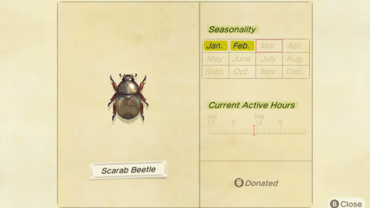 How to catch a Scarab Beetle in Animal Crossing New Horizons