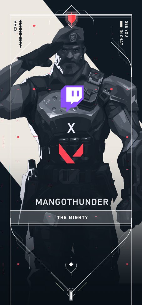 Valorant Twitch Player Card