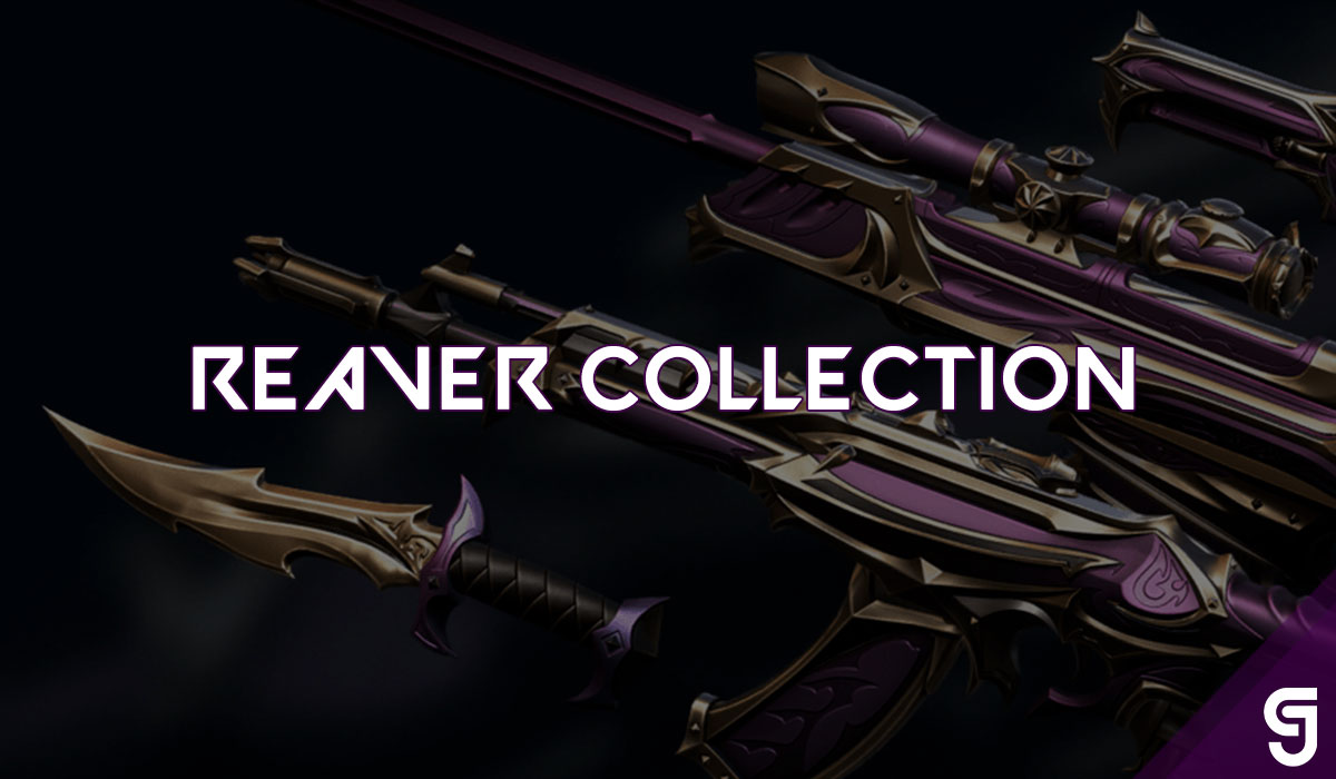 Valorant Reaver Collection Skin Overview