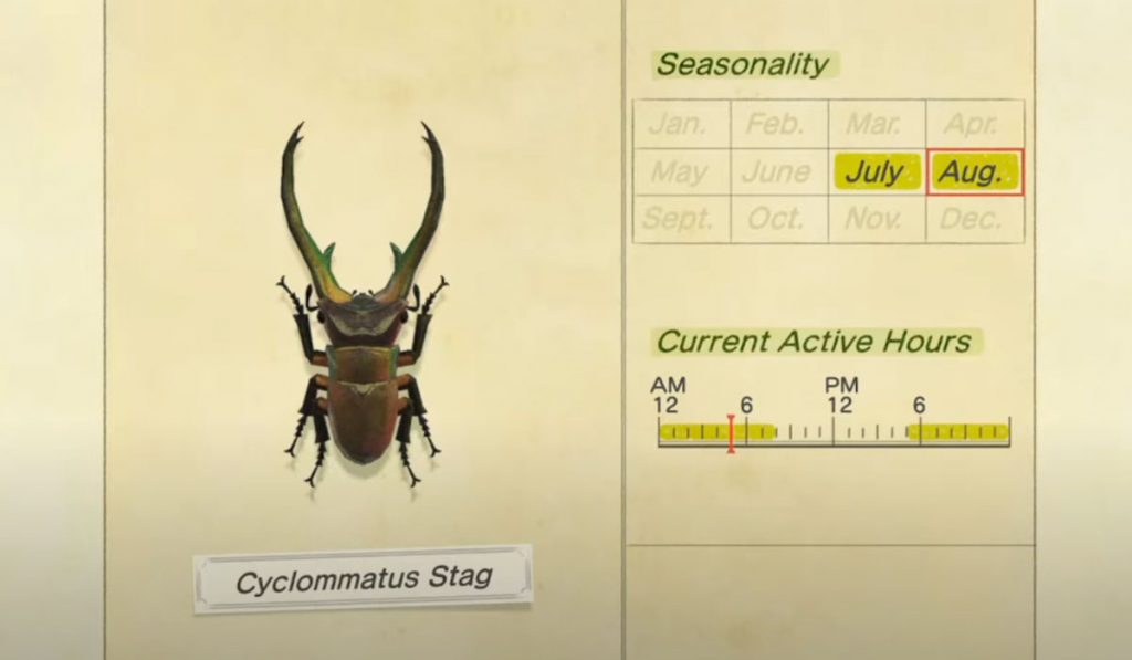 How to catch Cyclommatus Stag in Animal Crossing New Horizons