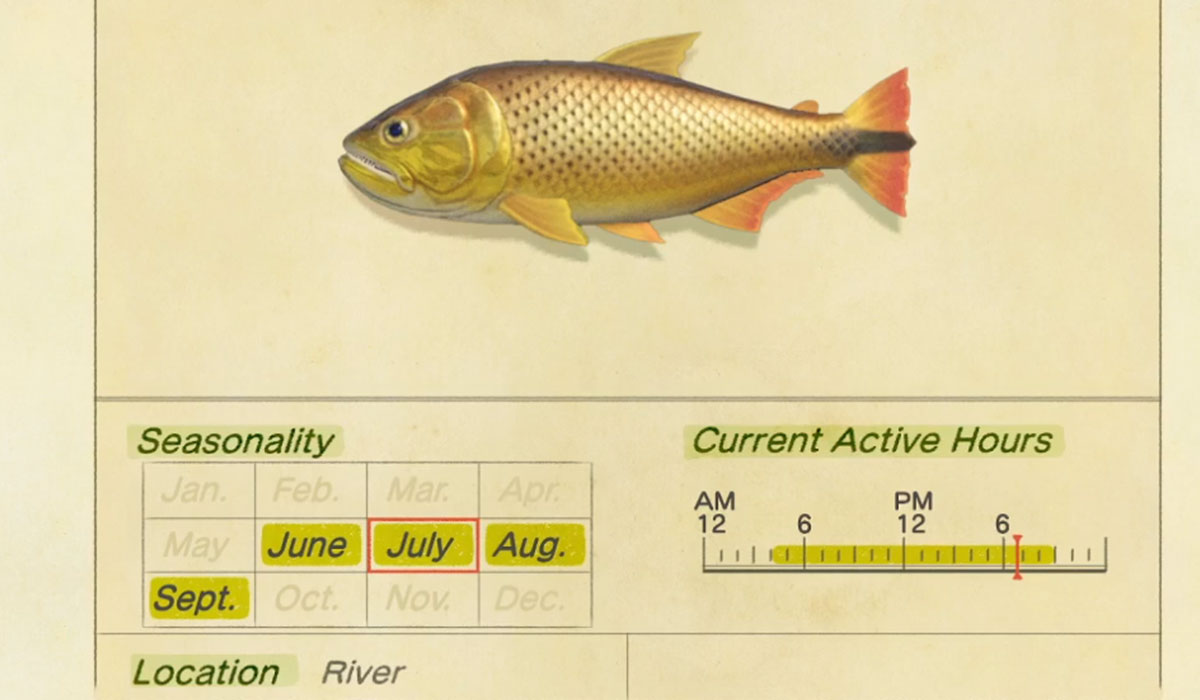 How to catch a Dorado in Animal Crossing New Horizons