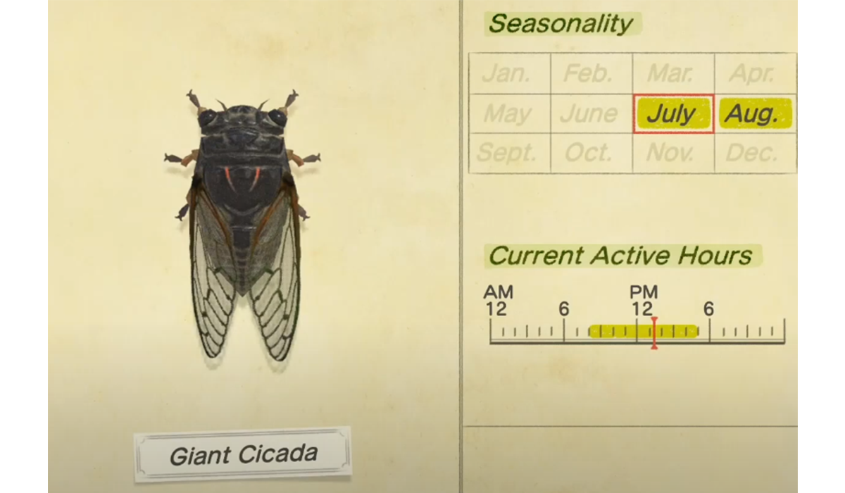 How to catch a Giant Cicada in Animal Crossing New Horizons