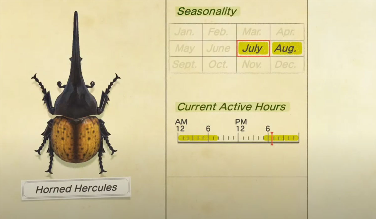 How to catch a Horned Hercules in Animal Crossing New Horizons
