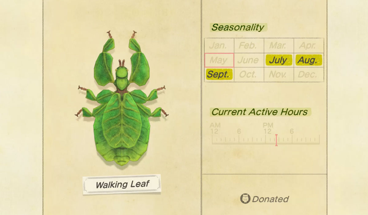 How to catch a Walking Leaf in Animal Crossing New Horizons
