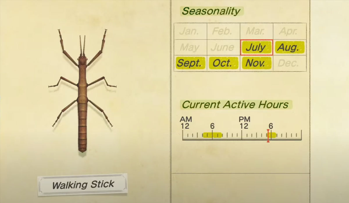 How to catch a Walking Stick in Animal Crossing New Horizons