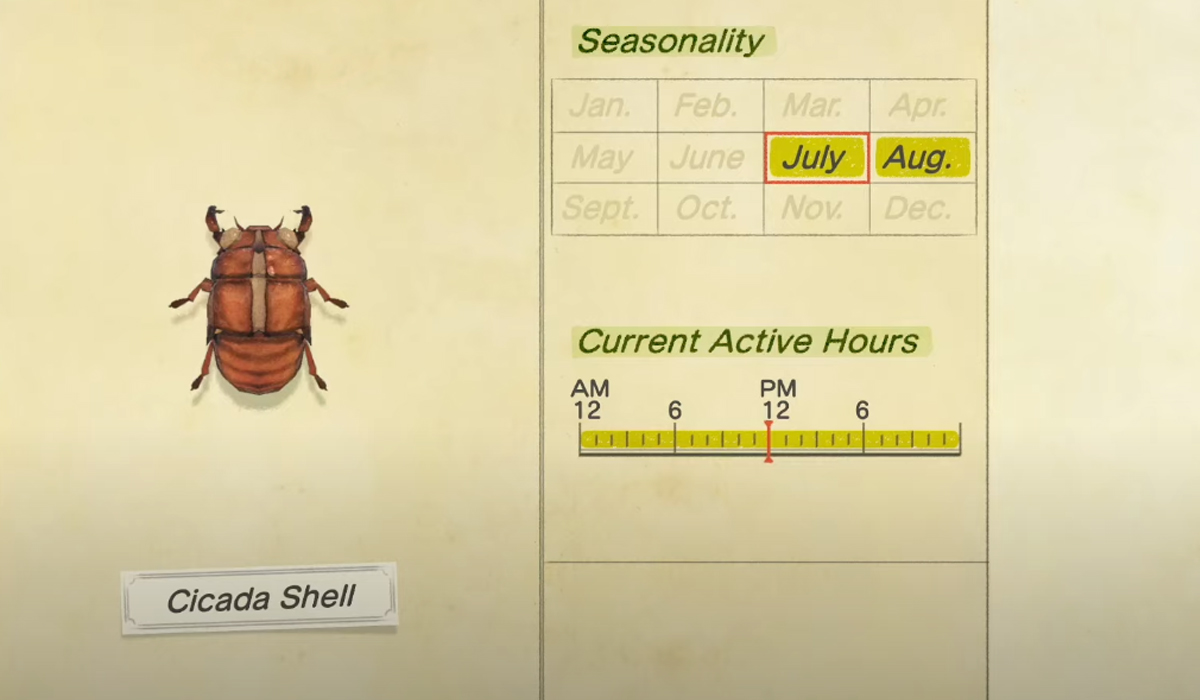 How to Catch a Cicada Shell in Animal Crossing New Horizons