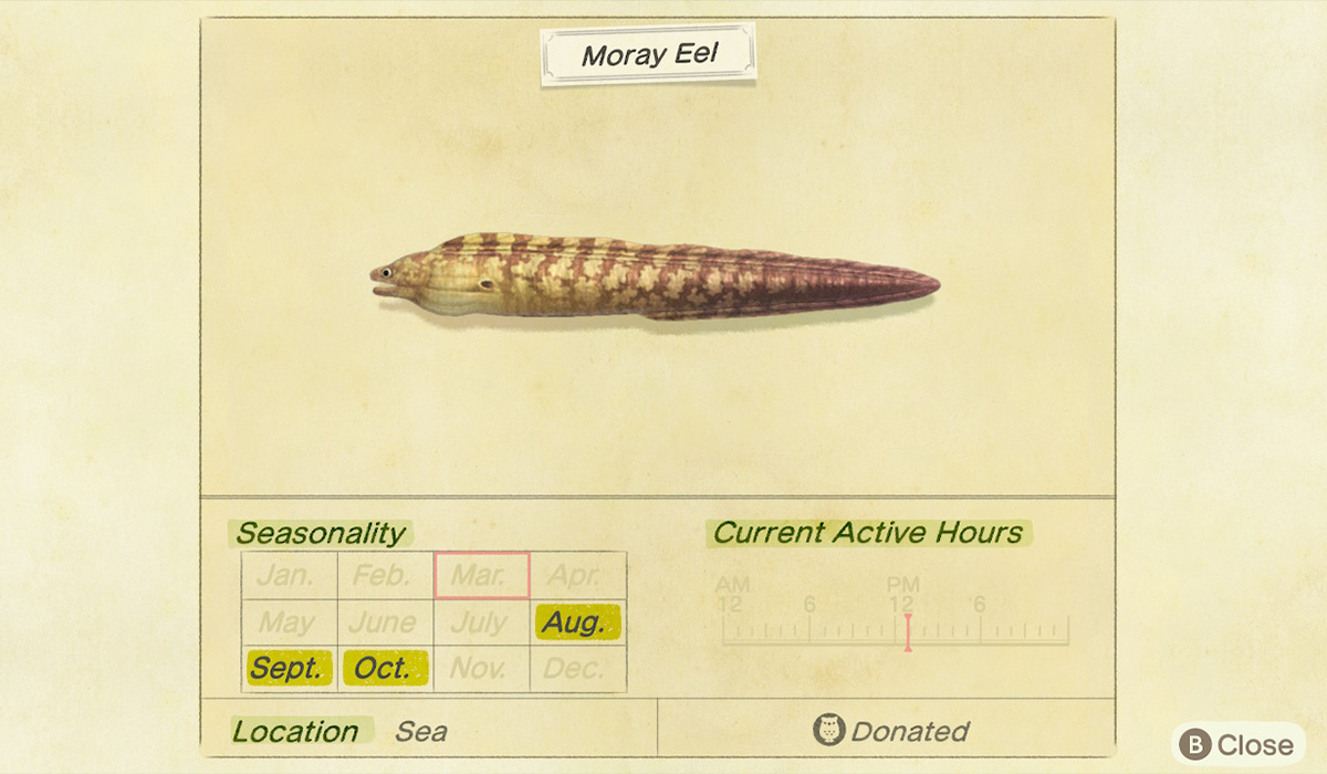 How-to-catch-a-Moray-Eel-in-Animal-Crossing-New-Horizons