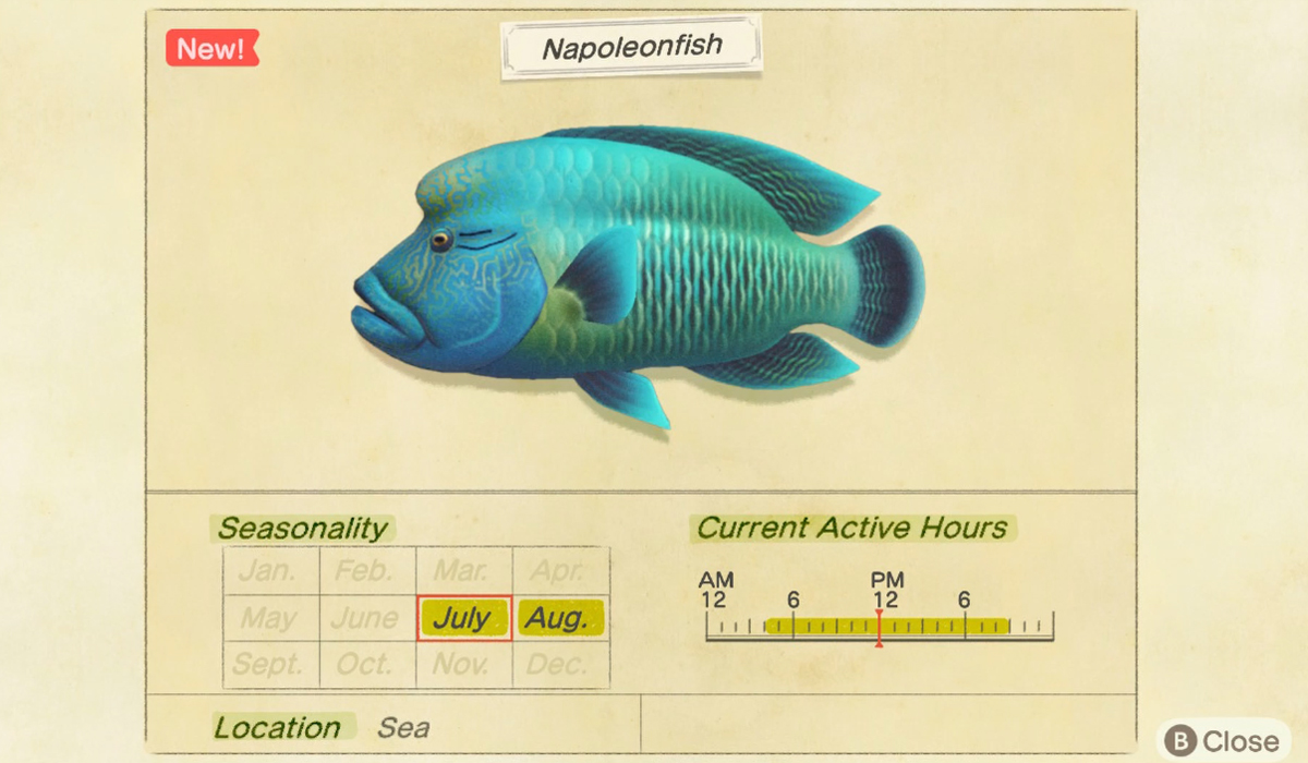 How to catch a Napoleonfish in Animal Crossing New Horizons