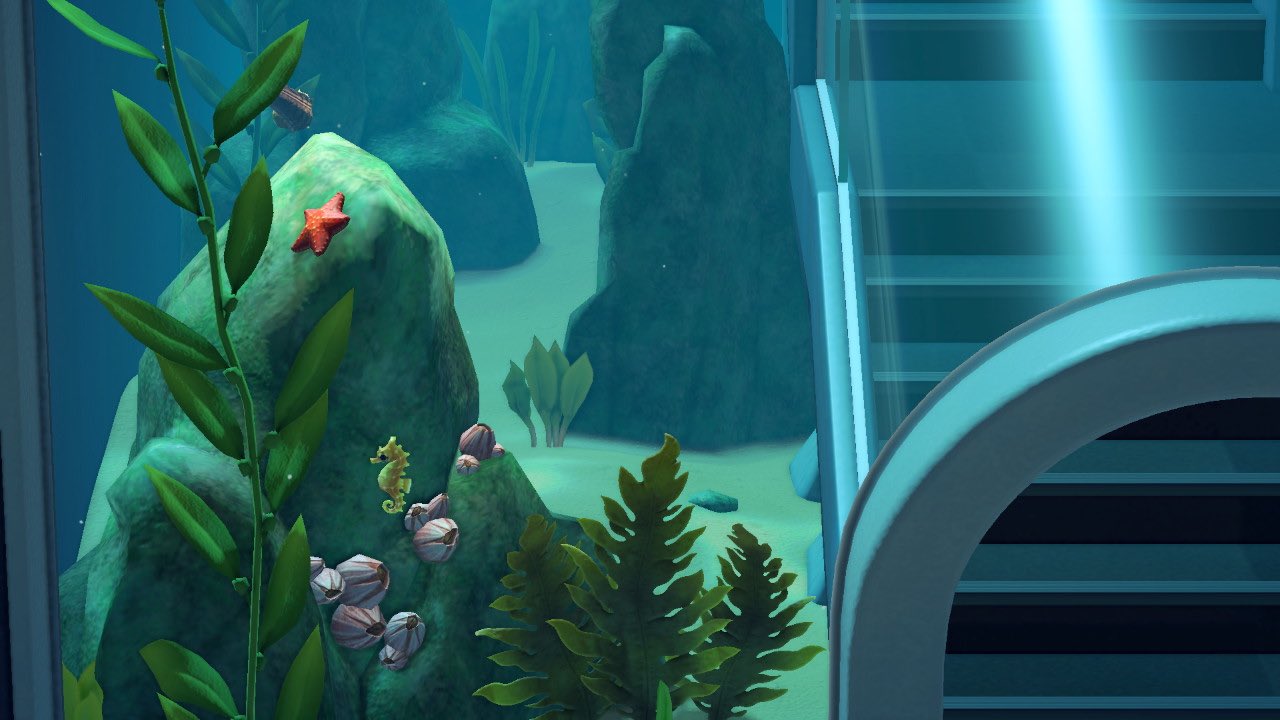 What do you get for catching all sea creatures in ACNH?