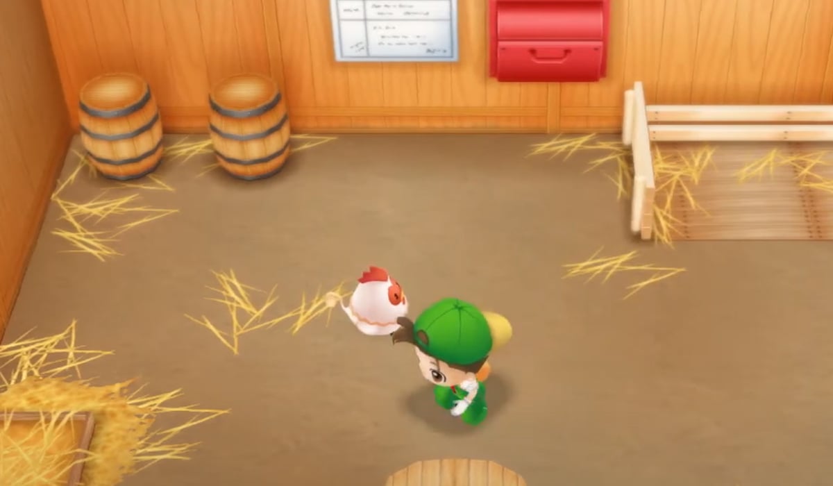 Where to buy and raise chickens in Story of Seasons Friends of Mineral