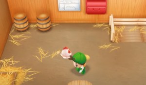 Where to buy and raise chickens in Story of Seasons