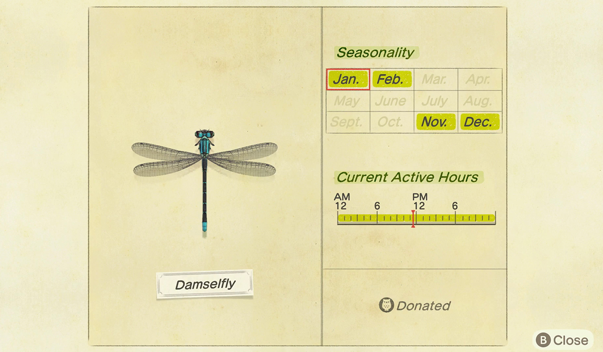 How to catch a Damselfly in Animal Crossing New Horizons