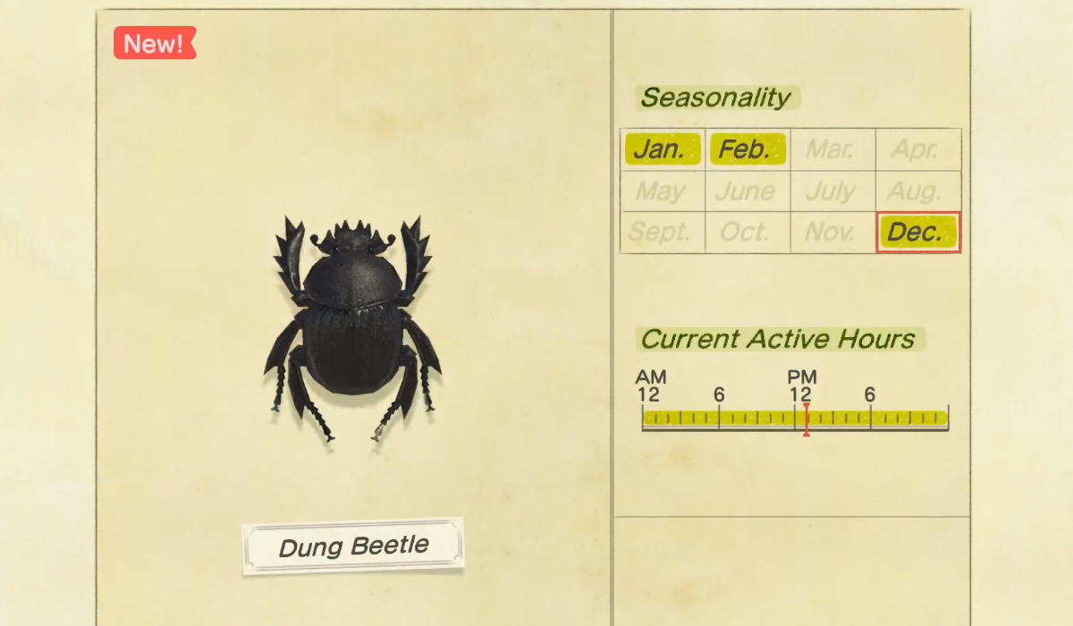 How to catch a Dung Beetle in Animal Crossing New Horizons