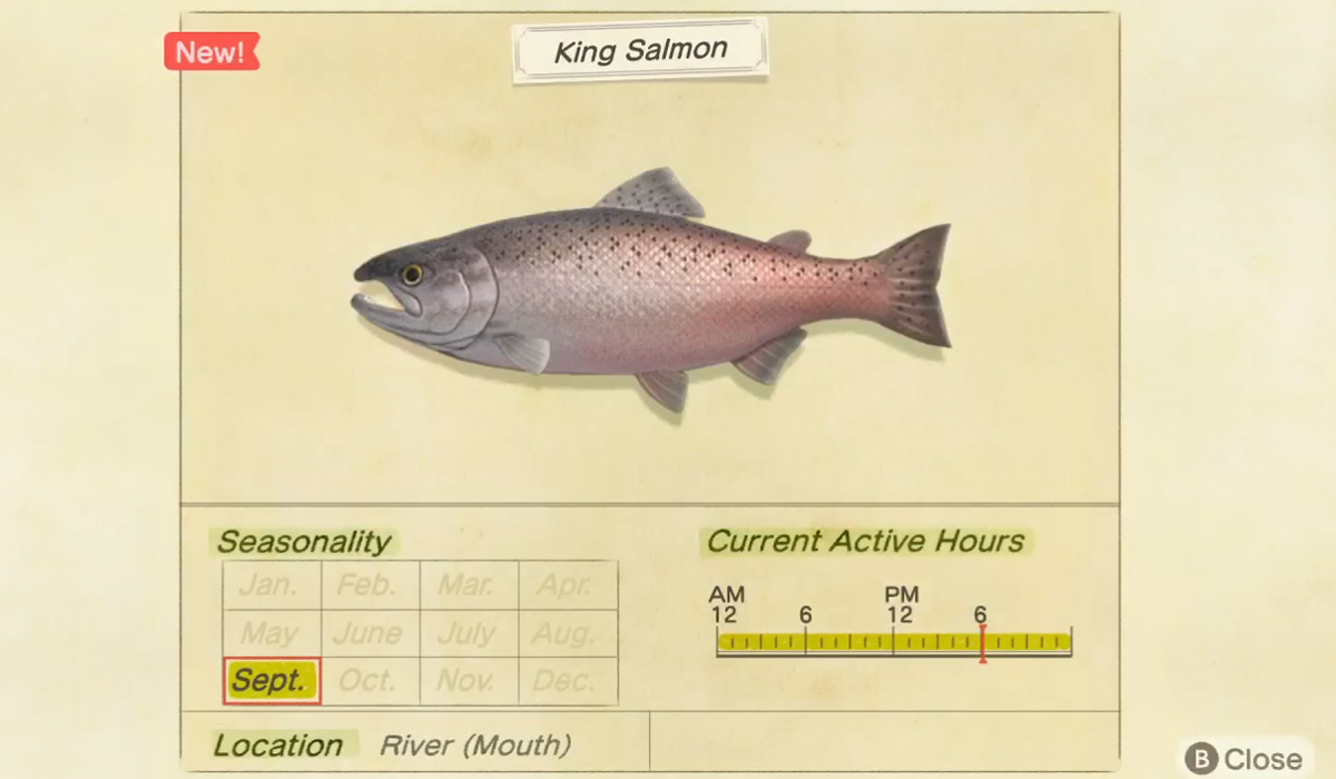 How to catch a King Salmon in Animal Crossing New Horizons