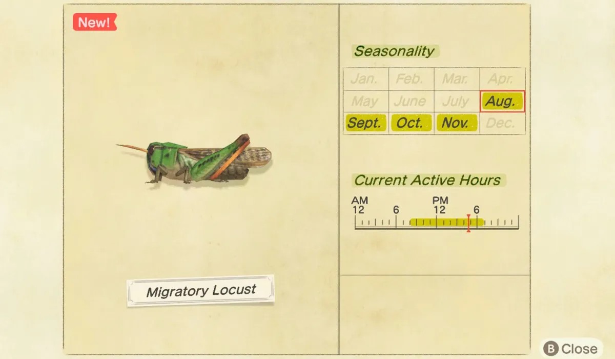 How to catch a Migratory Locust in Animal Crossing New Horizons