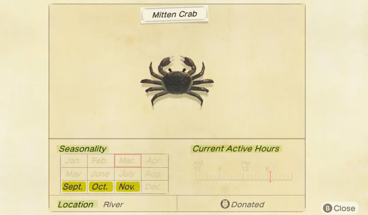How to catch a Mitten Crab in Animal Crossing New Horizons