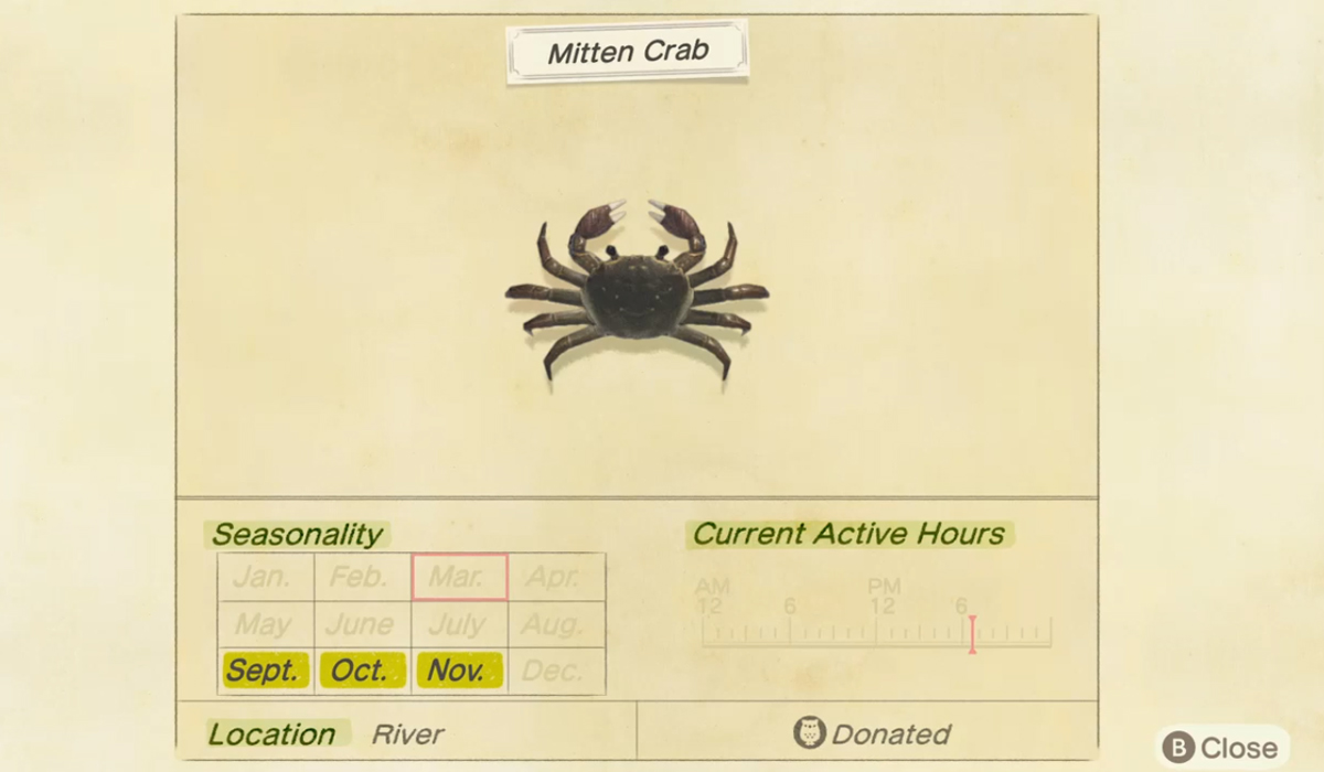 How-to-catch-a-Mitten-Crab-in-Animal-Crossing-New-Horizons