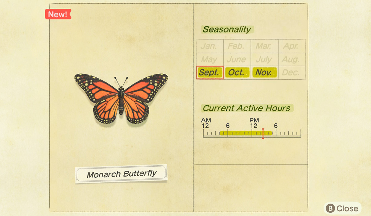 How to catch a Monarch Butterfly in Animal Crossing New Horizons