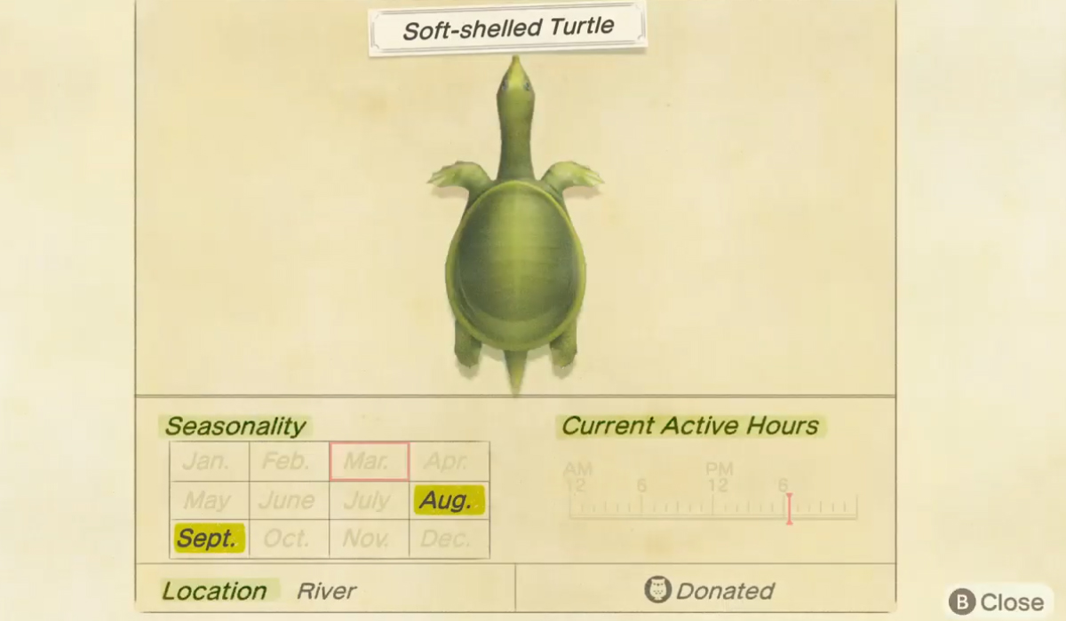 How to catch a Softshelled Turtle in Animal Crossing New Horizons