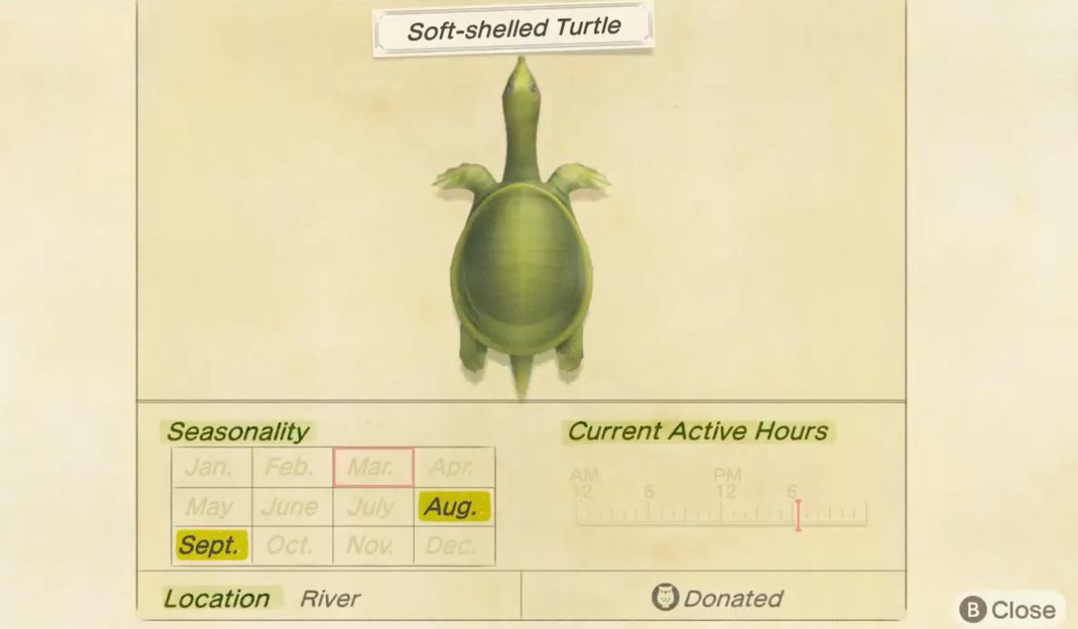How to catch a Soft-shelled Turtle in Animal Crossing New Horizons