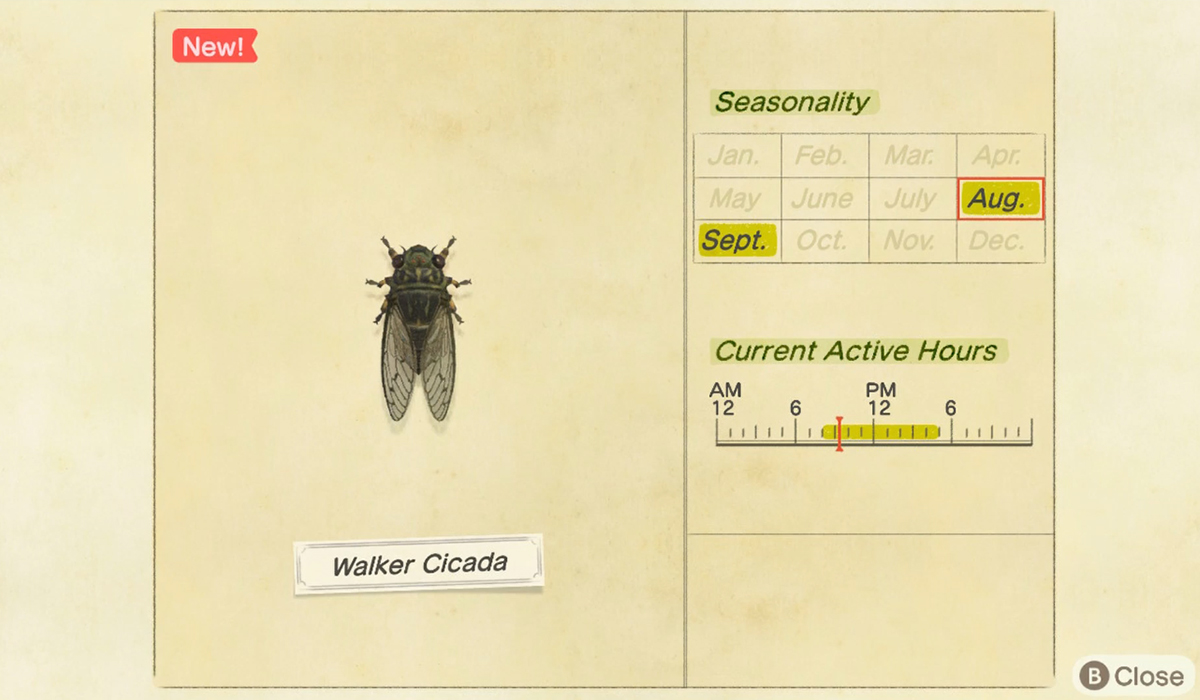 How to catch a Walker Cicada in Animal Crossing New Horizons