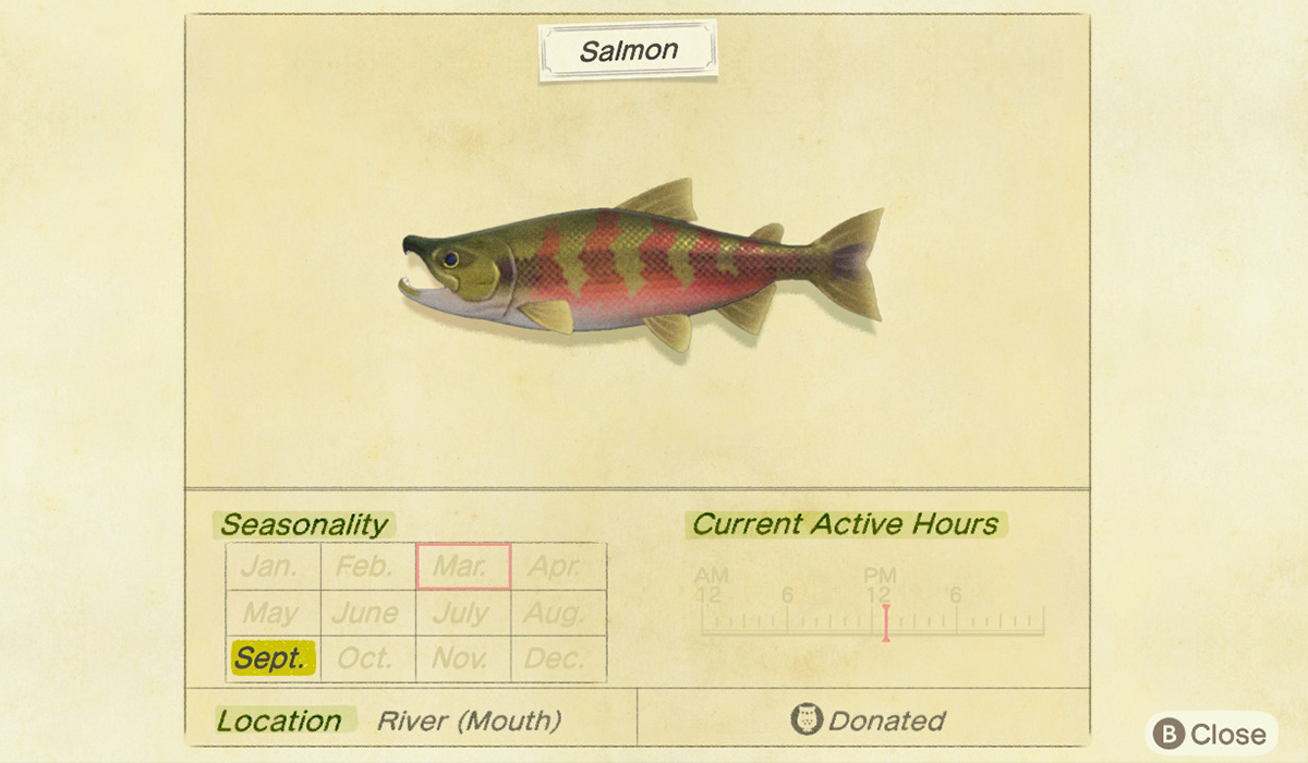 How to catch a salmon in Animal Crossing New Horizons