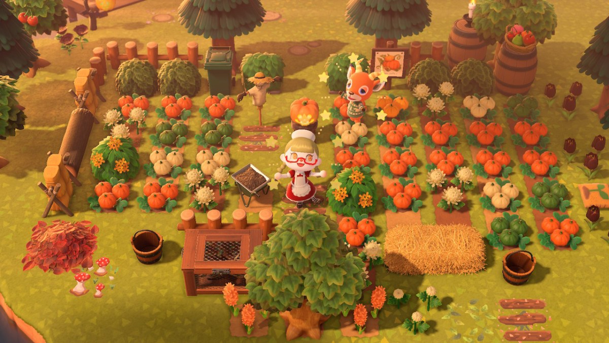 Animal-Crossing-New-Horizons-Pumpkin-Guide