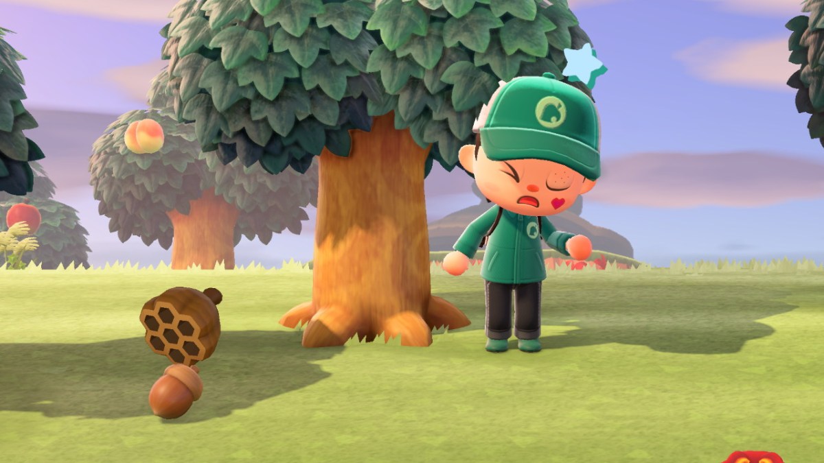 How to get Acorns in Animal Crossing New Horizons