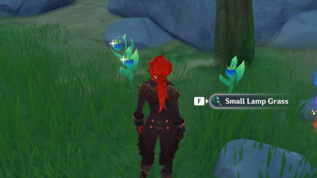 Where to find Small Lamp Grass in Genshin Impact Gamer Journalist