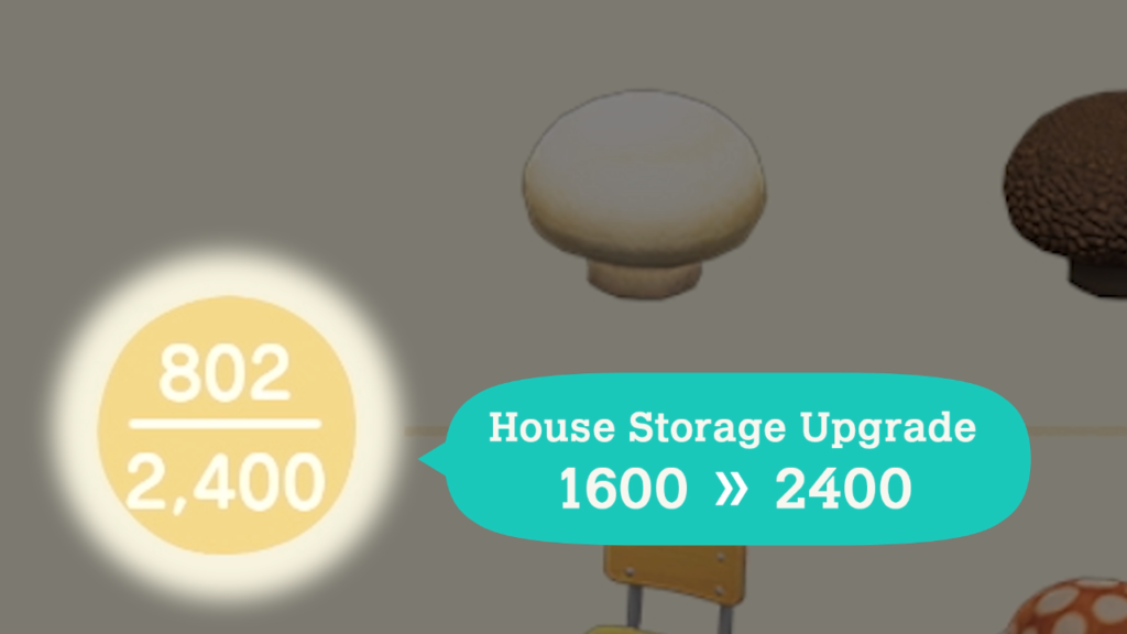 Animal Crossing New Horizons Winter Update - House Storage