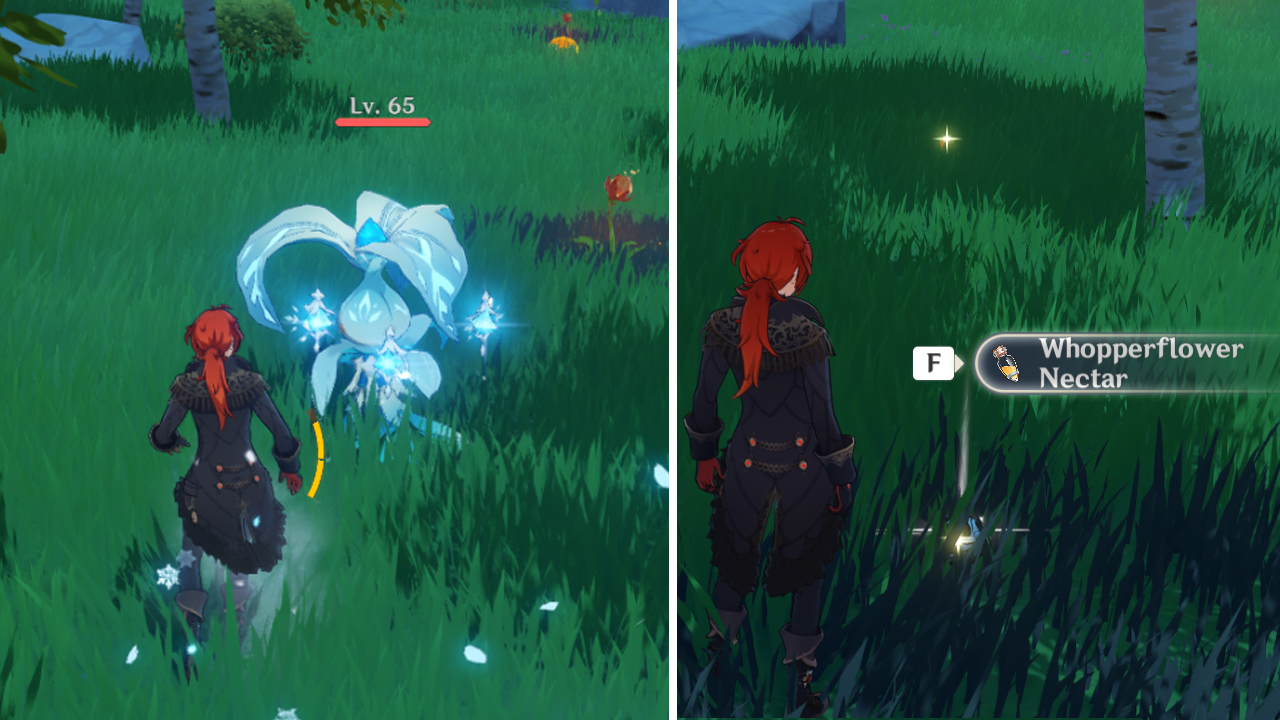 How to farm Whopperflower Nectar in Genshin Impact Gamer Journalist