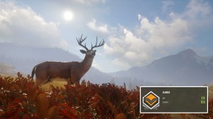 How to get Diamond in theHunter Call of the Wild