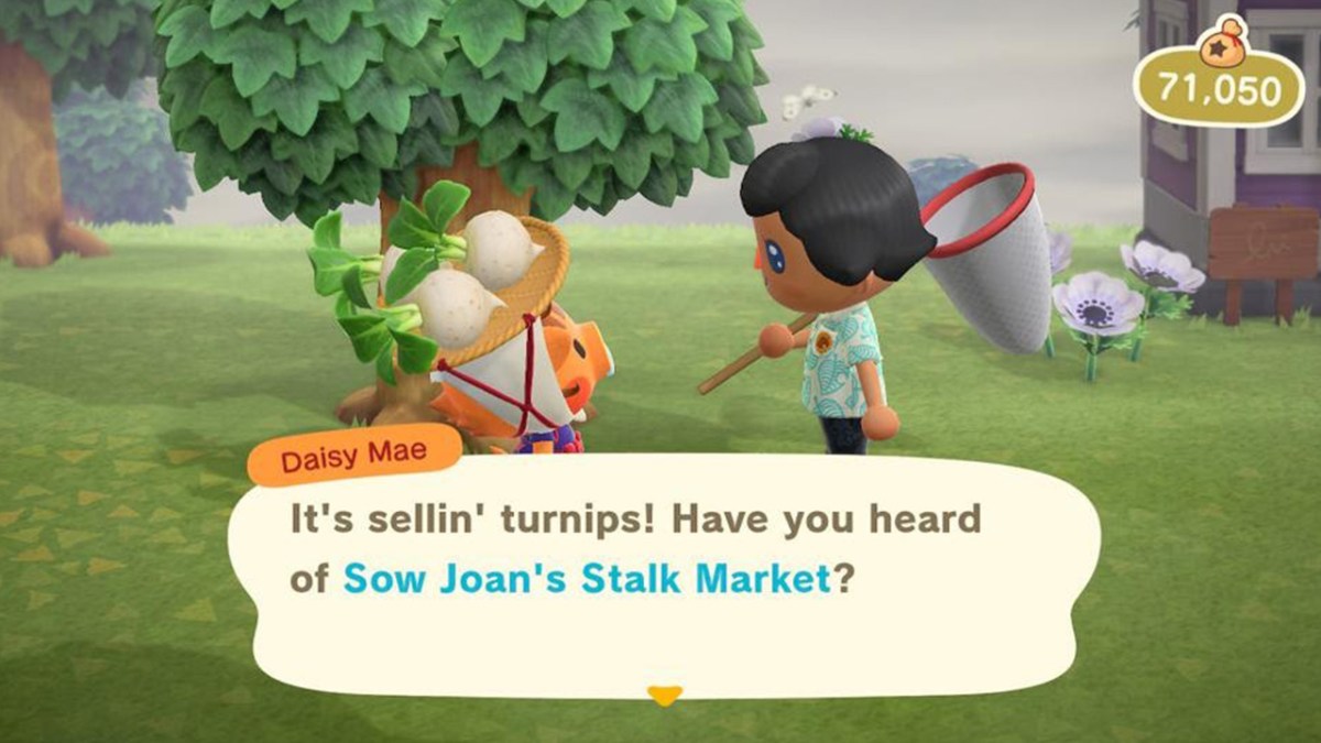 Can You Plant Turnips in Animal Crossing: New Horizons?