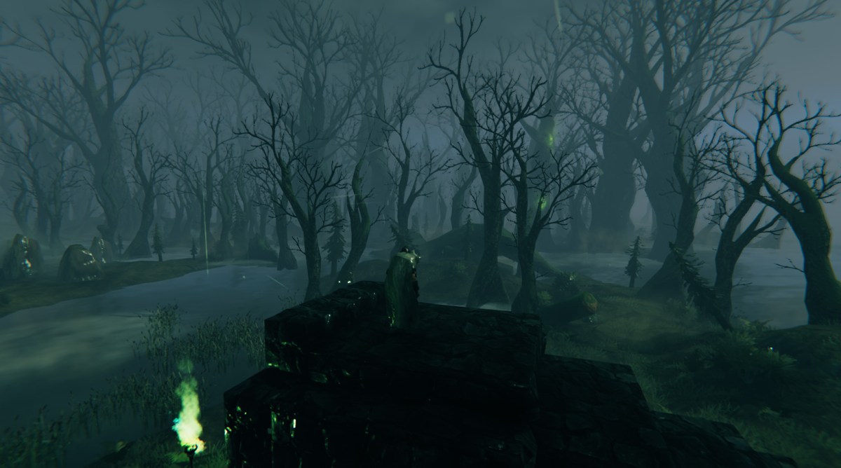 Where to find the Swamp Biome in Valheim