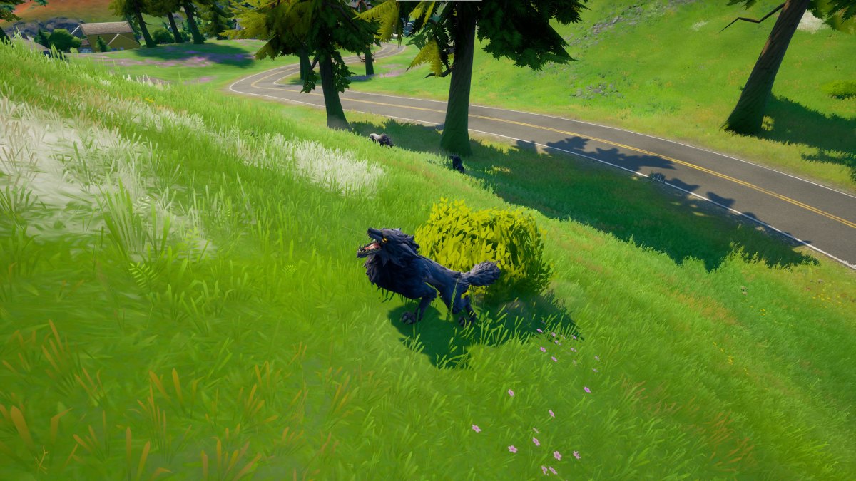 Where to get a Wolf Fang, Boar Tusk, and Chicken Feathers in Fortnite