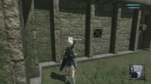 Where to Get Giant Eggs in Nier Replicant