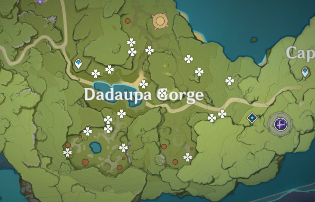 Where to find Sunsettia - Dadaupa Gorge