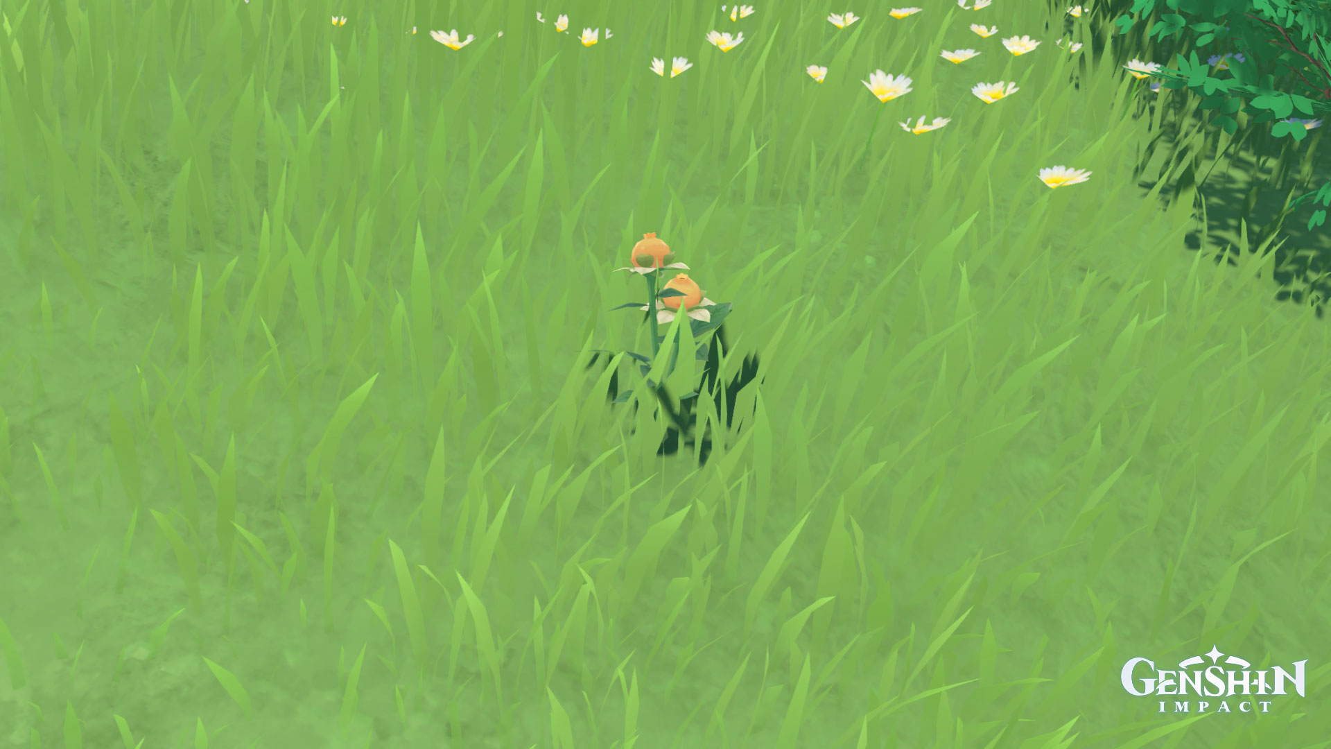 Where to find Sweet Flowers in Genshin Impact Gamer Journalist