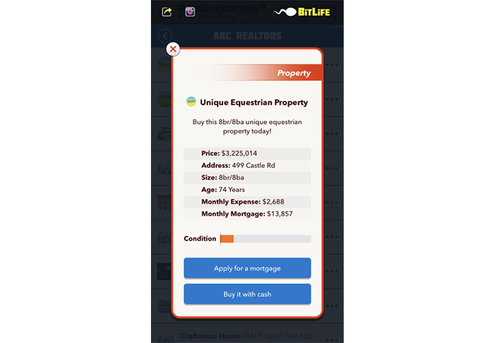 BitLife Equestrian Property Listing