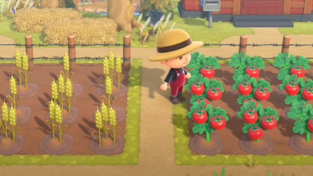 Animal Crossing New Horizons How to Grow Crops Gamer Journalist