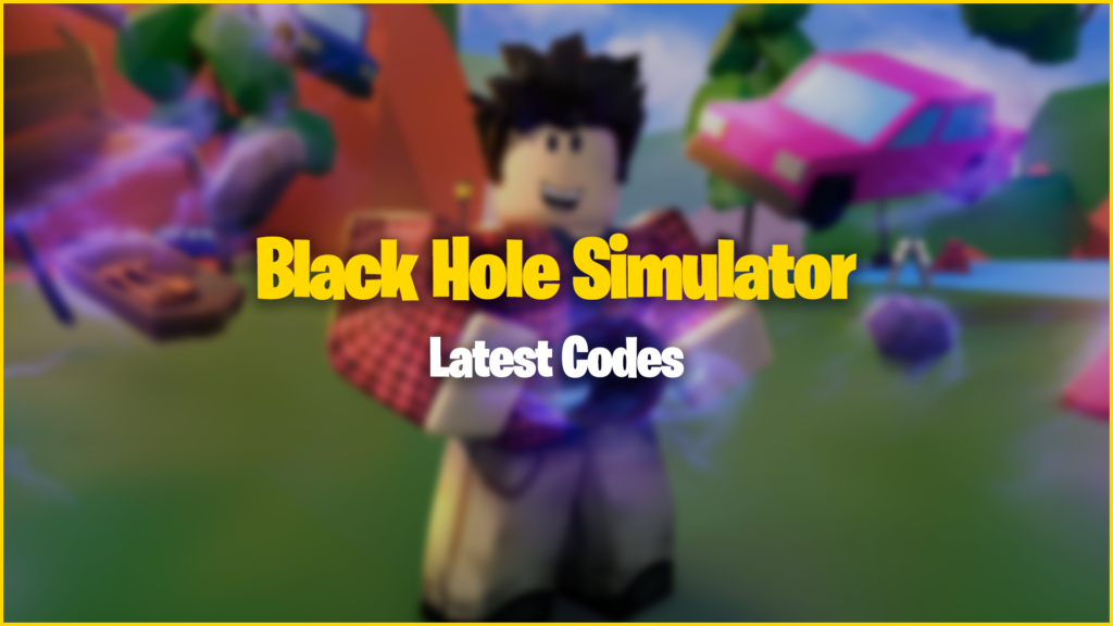Black Hole Simulator Codes