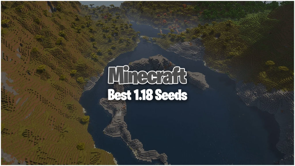 Minecraft 1.18 Seeds 