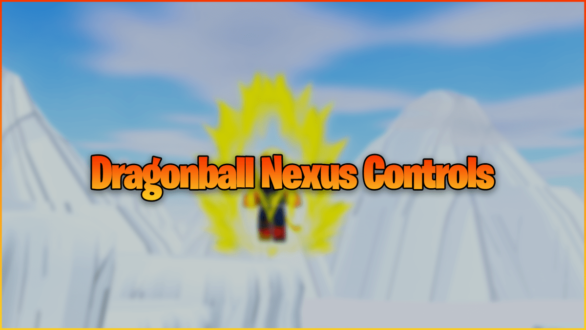 Dragonball Nexus Controls