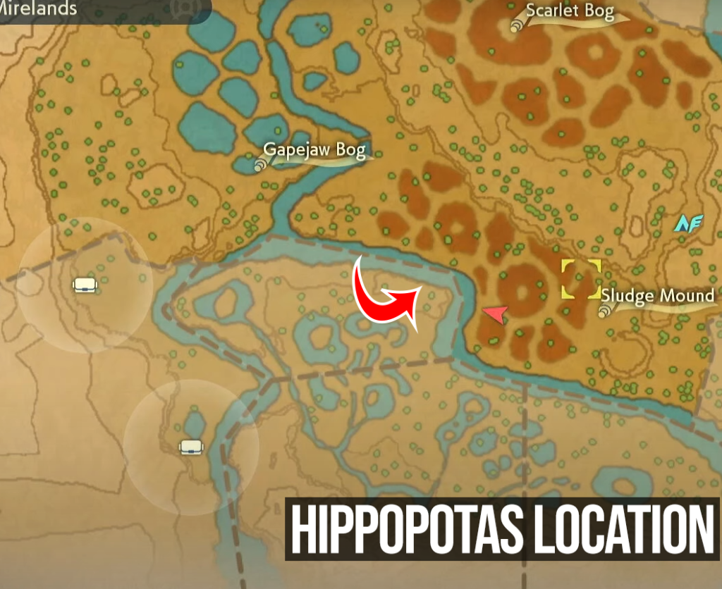 Hippopotas Location